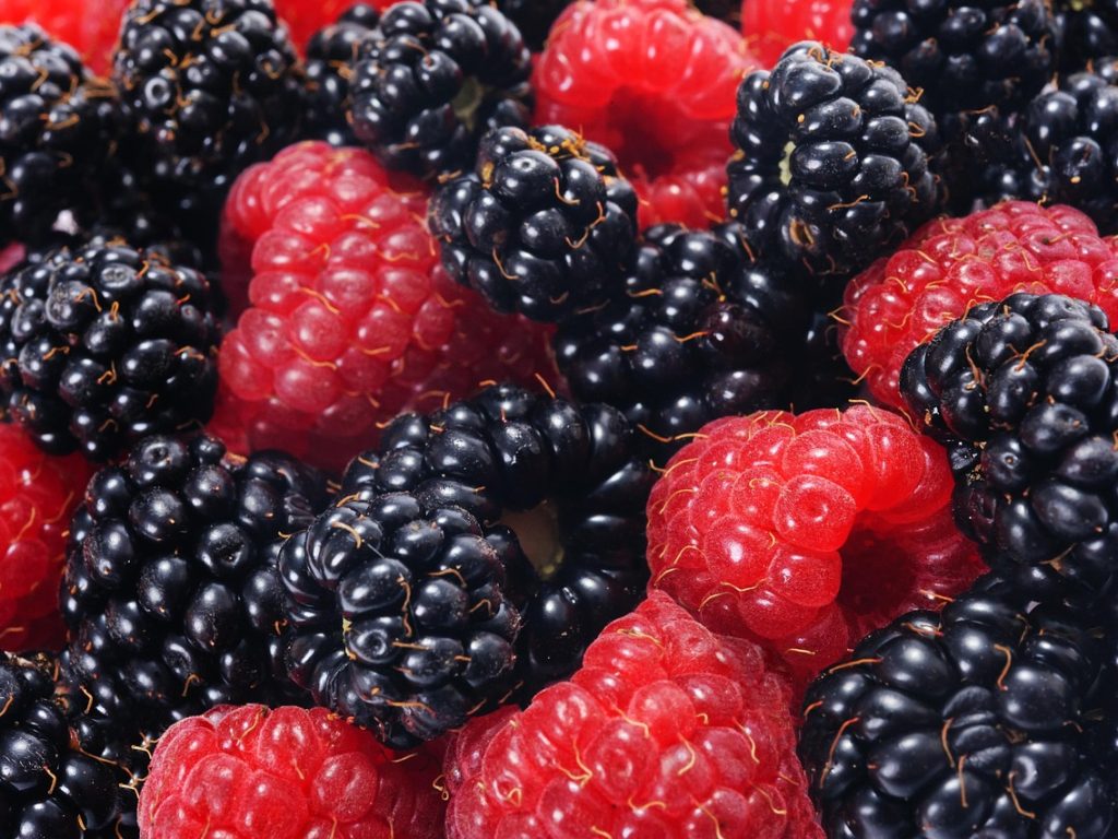 Raspberries and blackberries, forest fruits, closeup — Evaluation of the Each day life Well being G2 Home Well being membersh