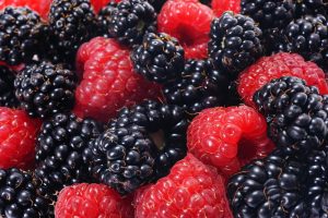 Raspberries and blackberries, forest fruits, closeup — Evaluation of the Each day life Well being G2 Home Well being membersh