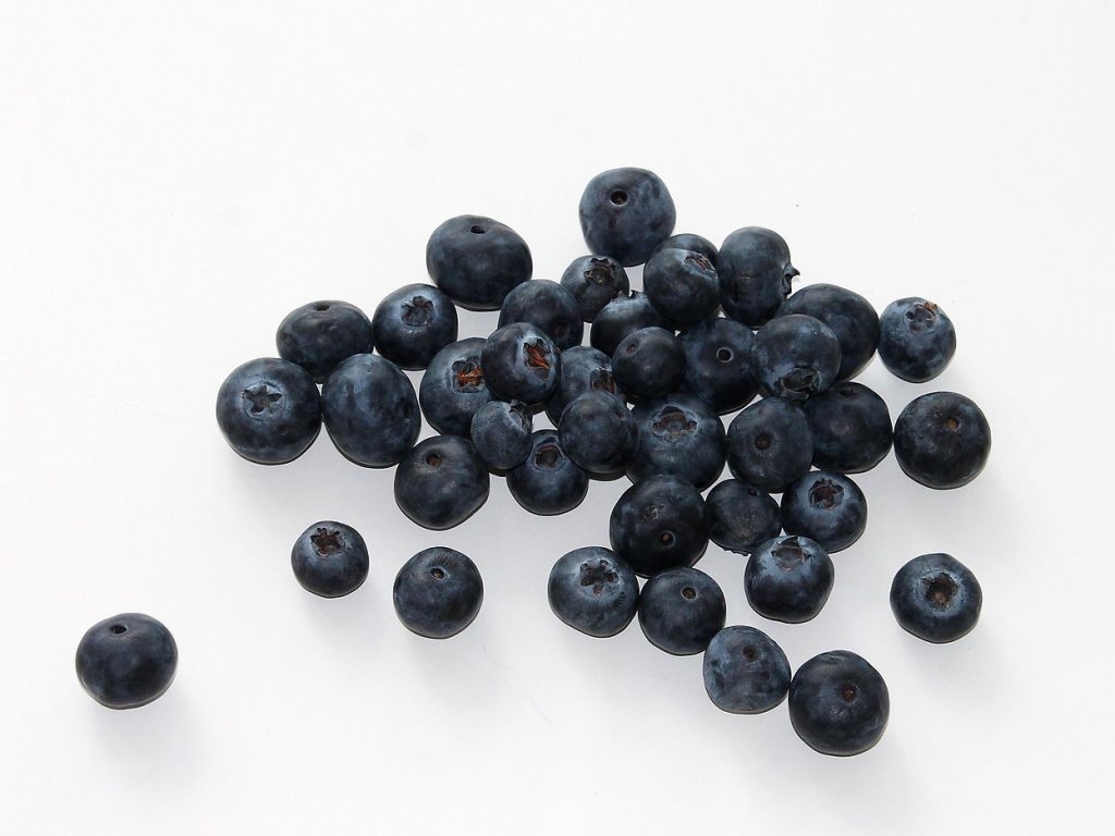 Blueberry, fruit, food — Execs of Transportable Train Gear