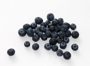 Blueberry, fruit, food — Execs of Transportable Train Gear