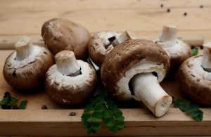 Mushrooms, edible mushrooms, vegetarian — Mini Stepper Routines - Cut back Fats With a Mini Stepper
