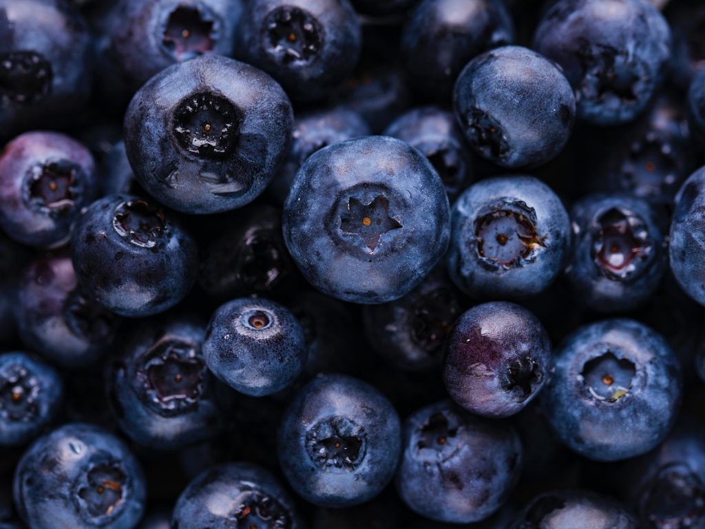 Blueberries, fruits, harvest — Most interesting Property Health middle Gadgets - What You Must Set up the Best Residence Heal