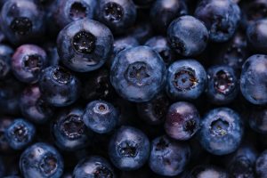 Blueberries, fruits, harvest — Most interesting Property Health middle Gadgets - What You Must Set up the Best Residence Heal