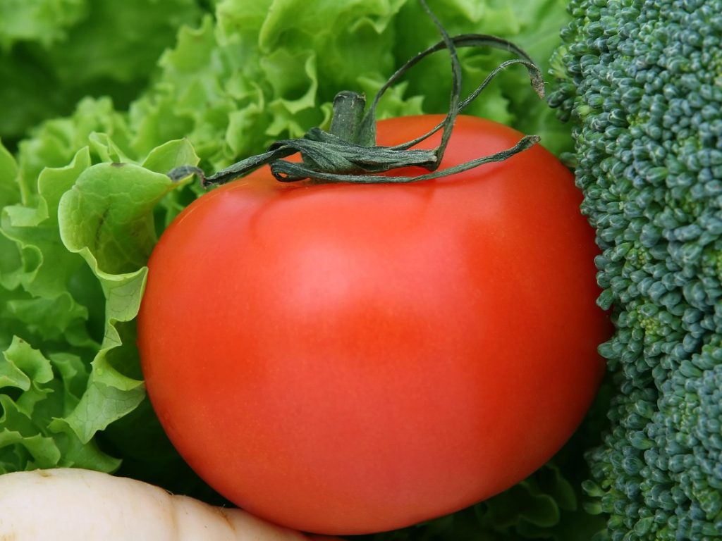 Appetite, broccoli, calories — Nutritious Consuming plan And Well being Concepts For Females