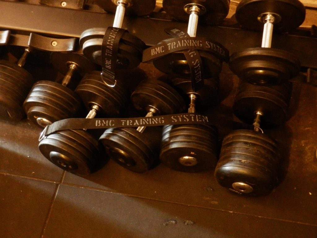 Dumbbells, bodybuilding, muscles — Pointers for Buying Rowing Gadgets for Dwelling Use