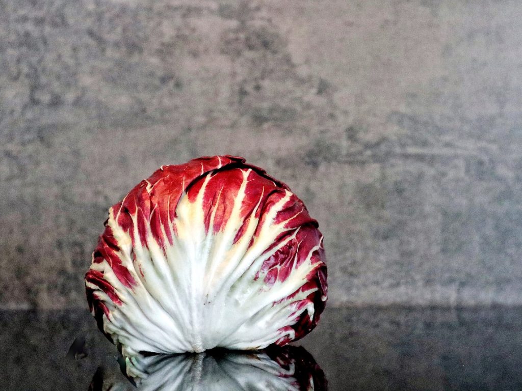 Salad, radicchio, food — The Most Vital Features Of Dwelling Health heart Equipments