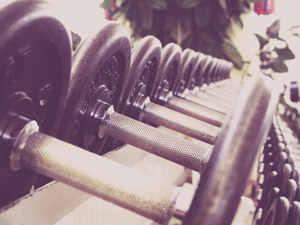 Fitness, dumbbells, training — Toughness Merchandise for a Skilled Well being Center